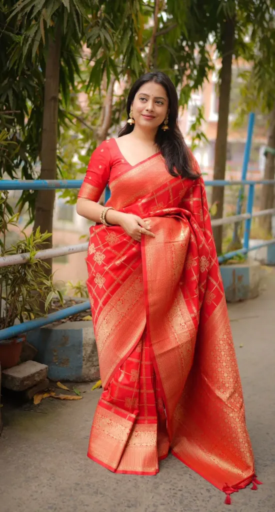 Red soft silk saree